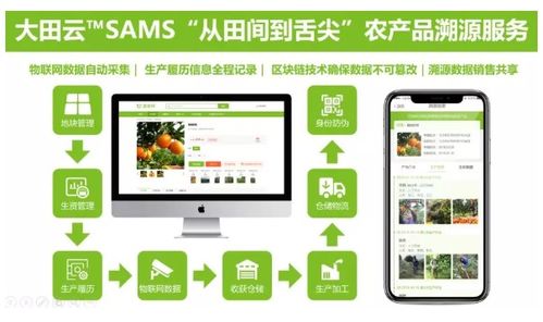 大田智慧農(nóng)業(yè)1.28億元數(shù)字化服務(wù)助力農(nóng)產(chǎn)品安全生產(chǎn)